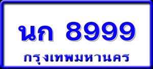 นก 8999