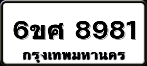 6ขศ 8981
