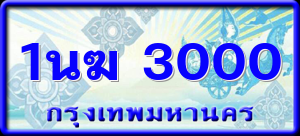 1นฆ 3000