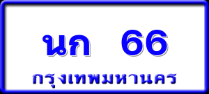นก 66