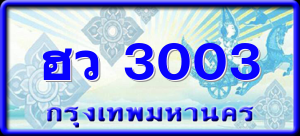 ฮว 3003