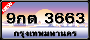 9กต 3663
