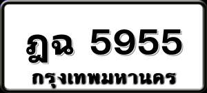 ฎฉ 5955