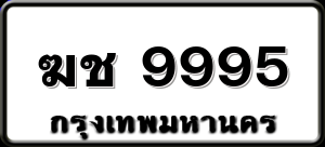 ฆช 9995