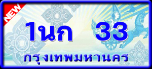 1นก 33
