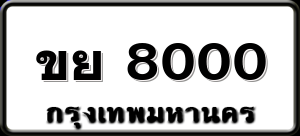 ขย 8000