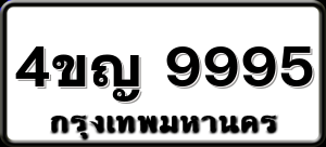 4ขญ 9995