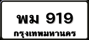 พม 919