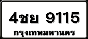 4ชย 9115