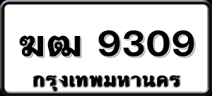 ฆฒ 9309