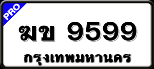 ฆข 9599