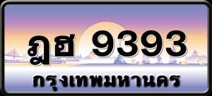 ฎฮ 9393