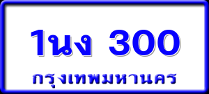 1นง 300