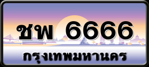 ชพ 6666