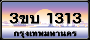 3ขบ 1313