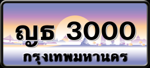 ญธ 3000