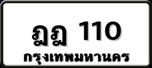 ฎฎ 110